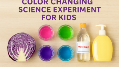 Red cabbage pH experiment setup for kids with colorful test results.